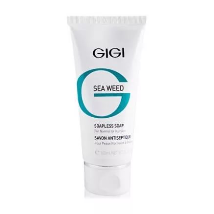 GIGI-SW ���� ������ ����������� 100 �� 31013