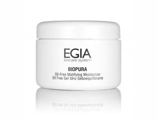 EGIA. ����������� �������� Oil�Free Oil�Free Matifying Moisturizer 250��. FPS-22