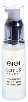 GIGI-LB ��������� ����������� � ������������ �������� 30 �� 12544